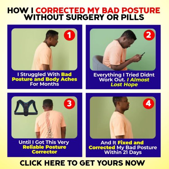 new-provibo-2.jpg
